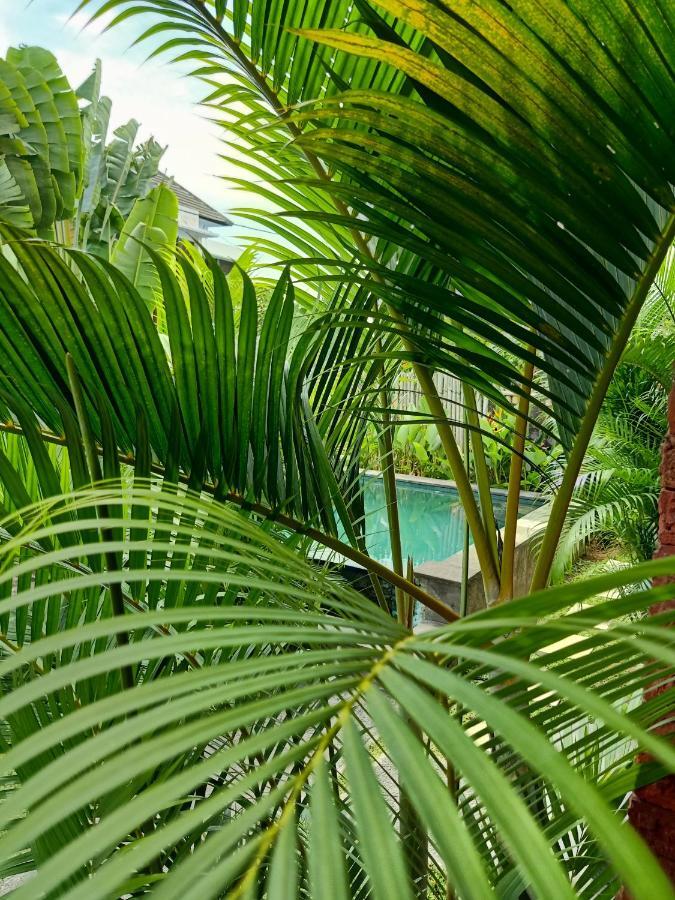 Готель Wayan Garden Убуд Екстер'єр фото